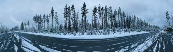 Snow Tree Panorama (c) AaronBieber